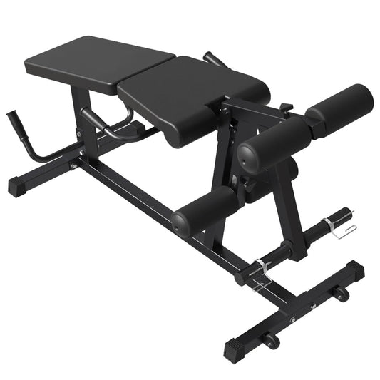 Leg Extension and Leg Curl Machine