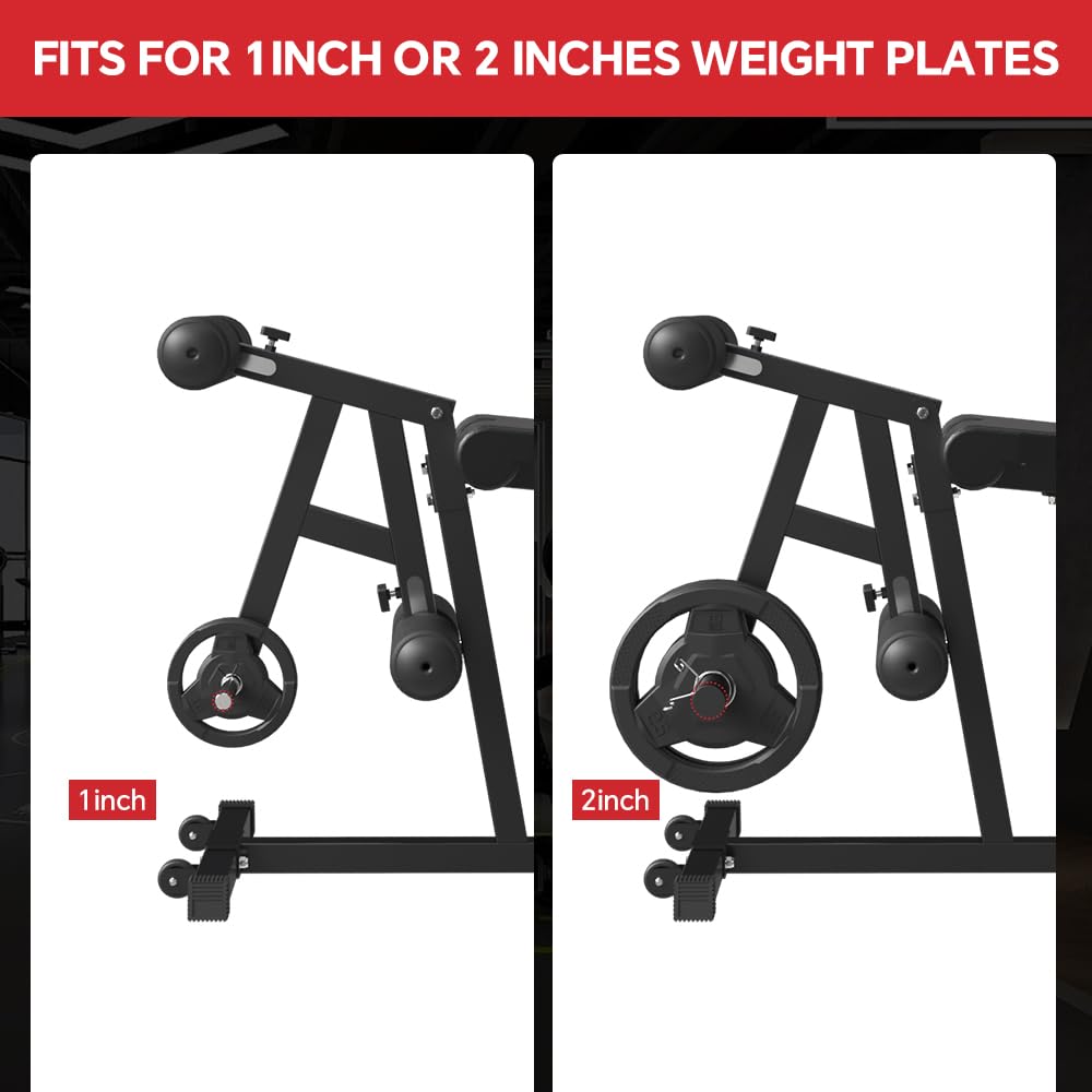 Leg Extension and Leg Curl Machine