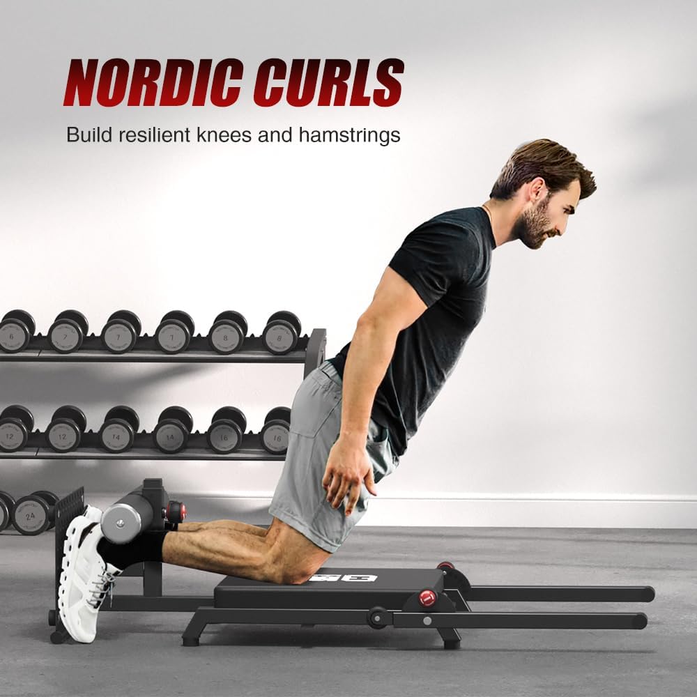 Abdominal and back training equipment
