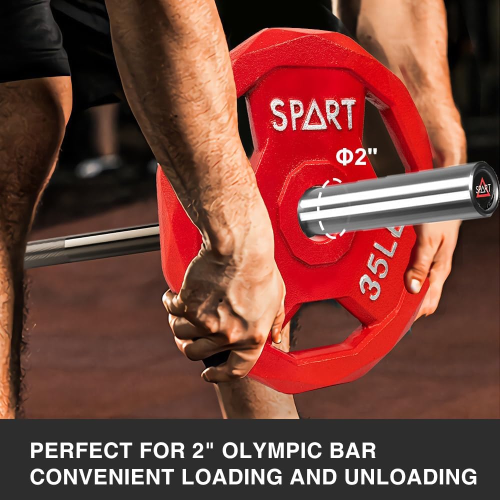 Color Coded Weight Plate 2-Inch Cast Iron Tri-Grip Plate