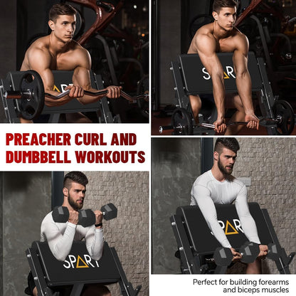 Preacher Curl Bench