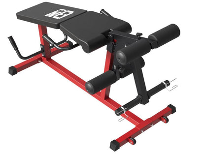 Leg Extension and Leg Curl Machine