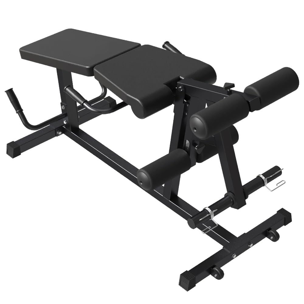 Leg Extension and Leg Curl Machine