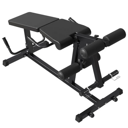 Leg Extension and Leg Curl Machine