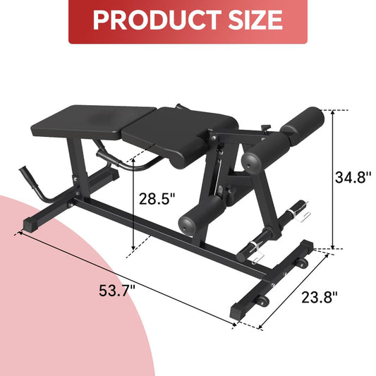 Leg Extension and Leg Curl Machine
