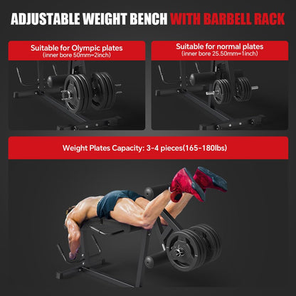 Leg Extension and Leg Curl Machine