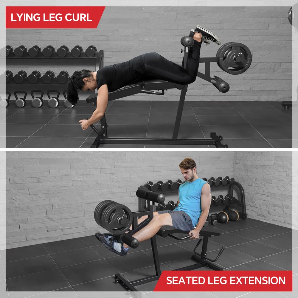 Leg Extension and Leg Curl Machine