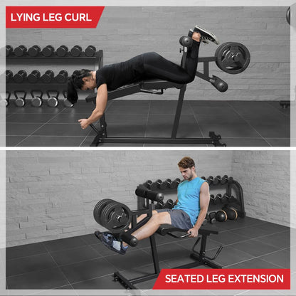 Leg Extension and Leg Curl Machine