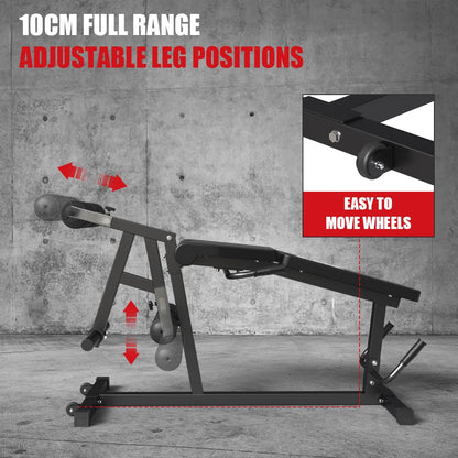 Leg Extension and Leg Curl Machine