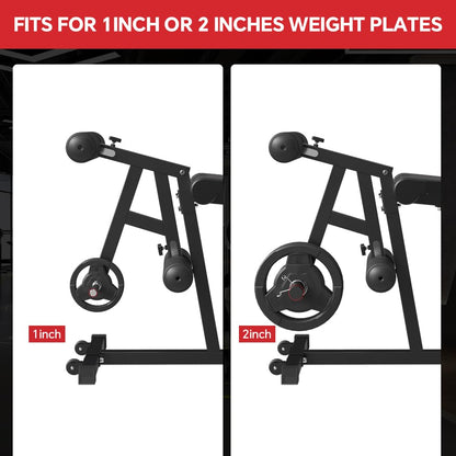Leg Extension and Leg Curl Machine